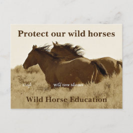 Postal Proteger nuestros caballos salvajes