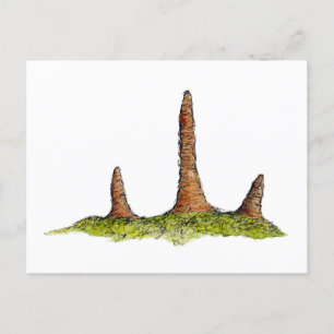 Postal Prototaxitas Fungi Postcard