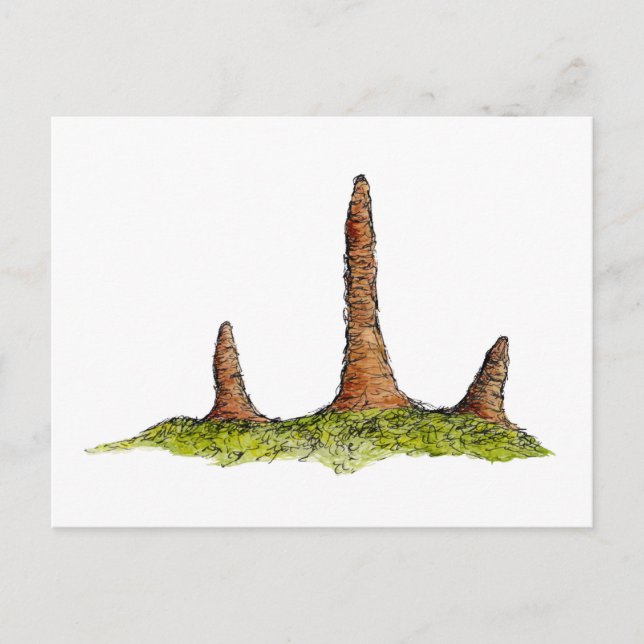 Postal Prototaxitas Fungi Postcard (Anverso)