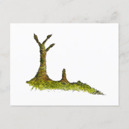 Postal Prototaxitas Lichens Postcard