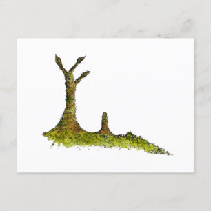 Postal Prototaxitas Lichens Postcard