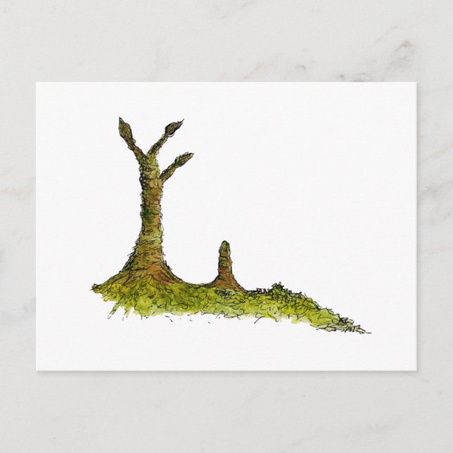 Postal Prototaxitas Lichens Postcard (Anverso)