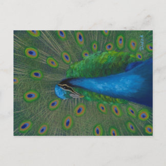 Postal Proud Peacock