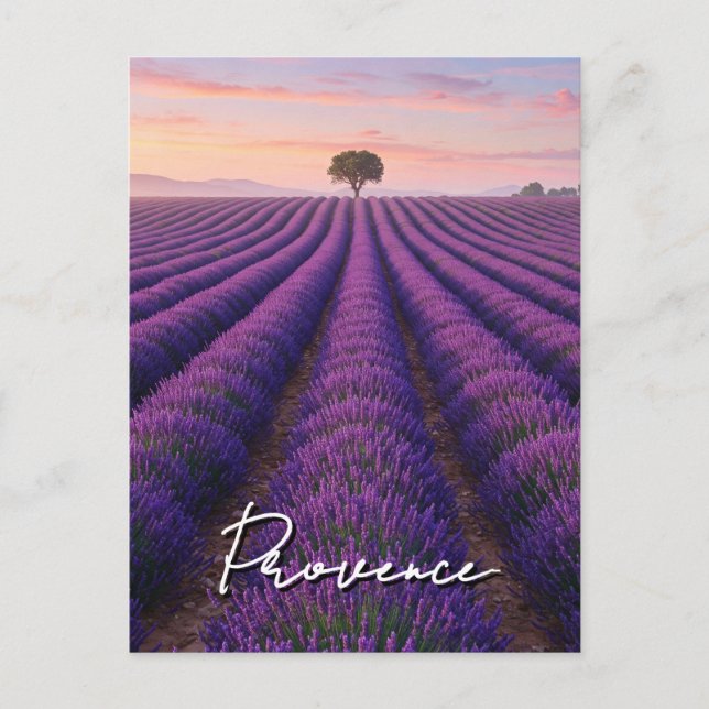 Postal Provence France Lavender Fields (Anverso)