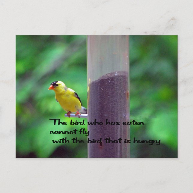 Postal Proverbio nativo americano (Anverso)