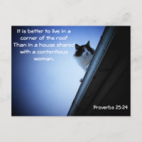 Proverbios 25 24 Cat en un meme de techo