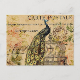 Postal provincia francesa de art nouveau vintage peacock