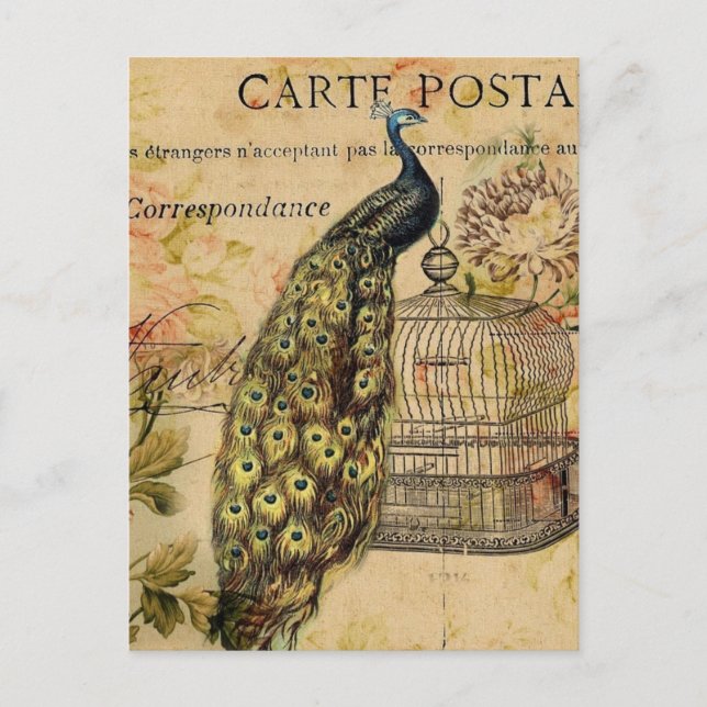 Postal provincia francesa de art nouveau vintage peacock (Anverso)