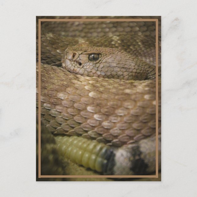 Postal provocador (Anverso)