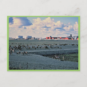 Postal Prudhoe Bay, Alaska