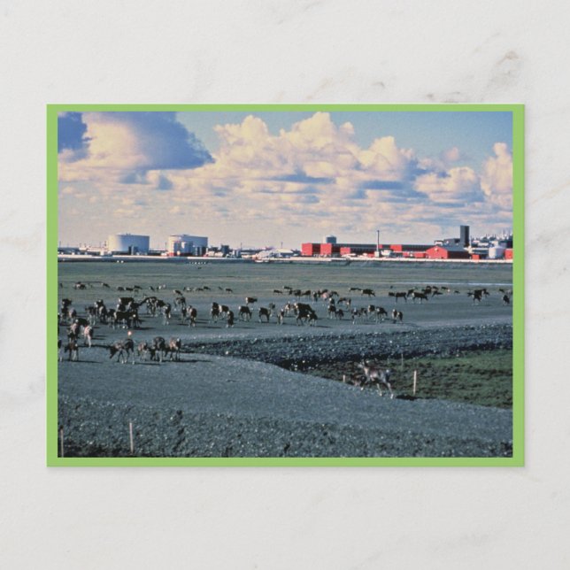Postal Prudhoe Bay, Alaska (Anverso)