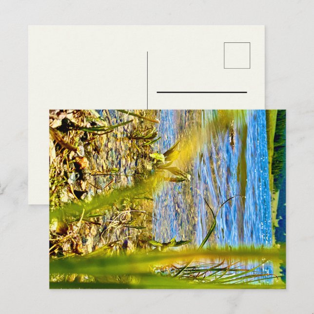 Postal Prueba (Anverso / Reverso)