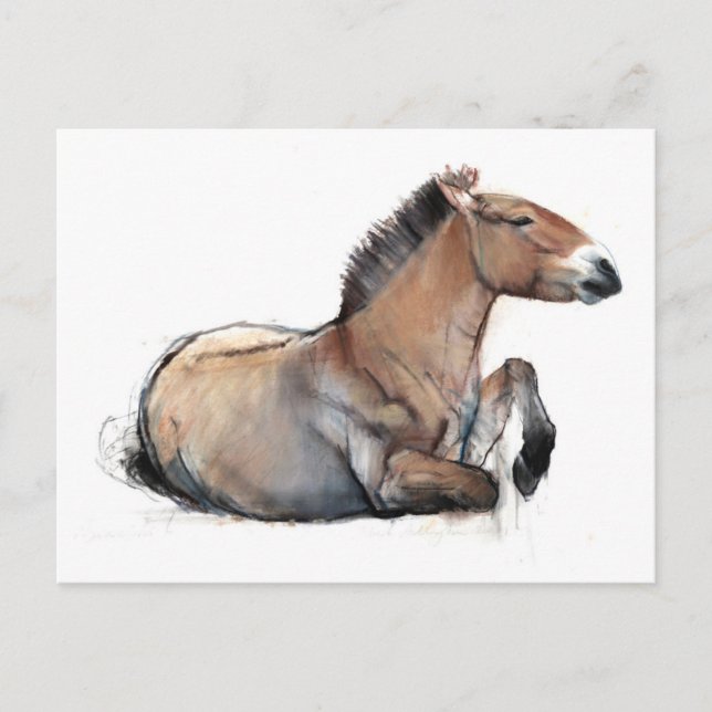 Postal Przewalski 2011 (Anverso)