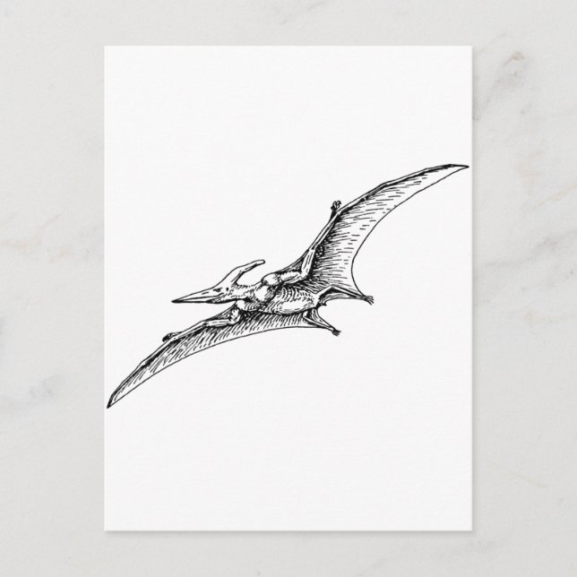 Postal Pterodáctilo (Anverso)