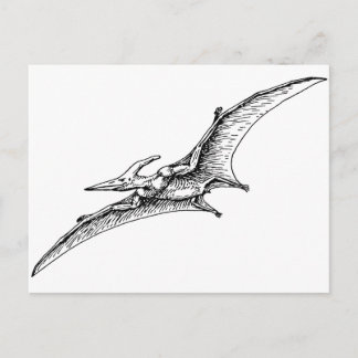 Postal Pterodáctilo