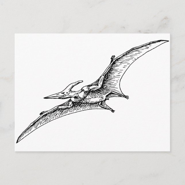 Postal Pterodáctilo (Anverso)