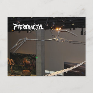 Postal Pterodáctilo