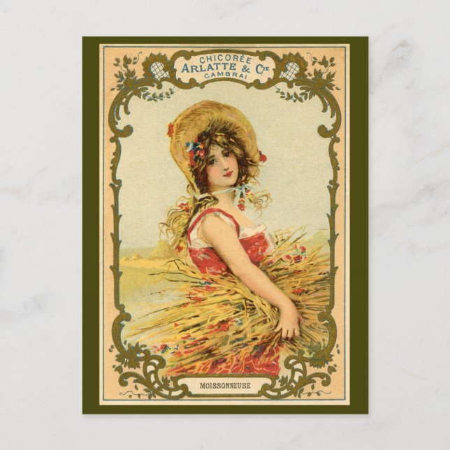 Postal Publicidad de cosecha de achicoria (Anverso)