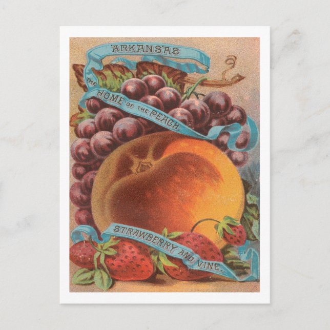 Postal Publicidad de cosecha de frutos de Arkansas (Anverso)