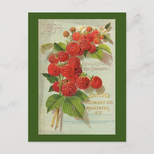 Postal Publicidad de Green's Nursery Co. (Anverso)