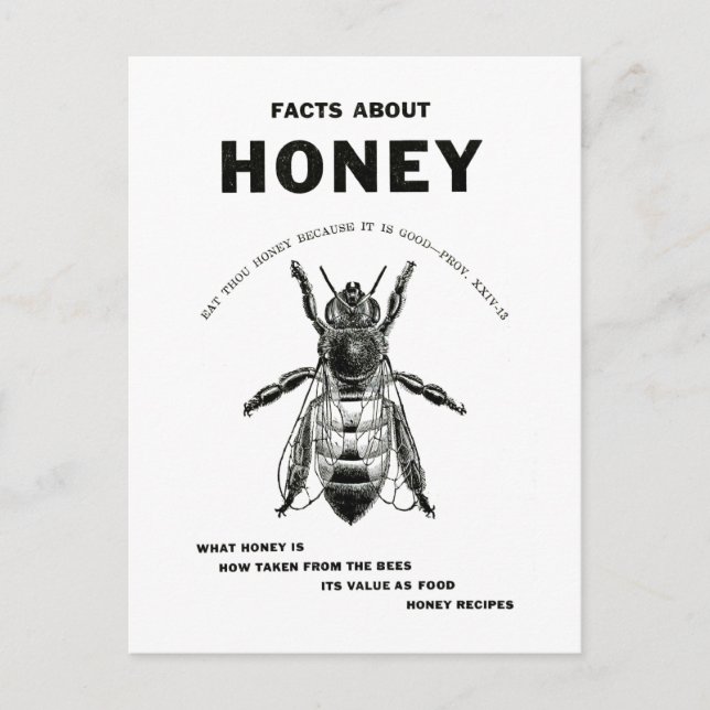 Postal Publicidad de la cosecha de miel de abeja (Anverso)