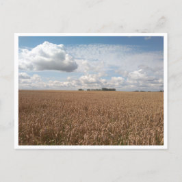 Postal Puck (Polonia)