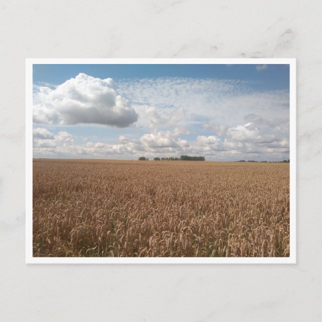 Postal Puck (Polonia) (Anverso)