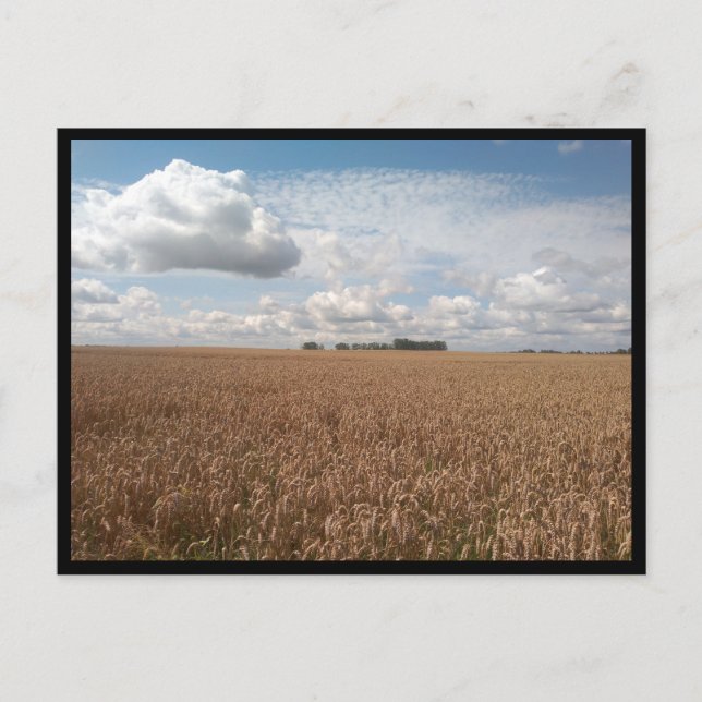 Postal Puck (Polonia) (Anverso)
