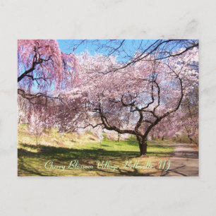 Postal Pueblo 01 de la flor de cerezo