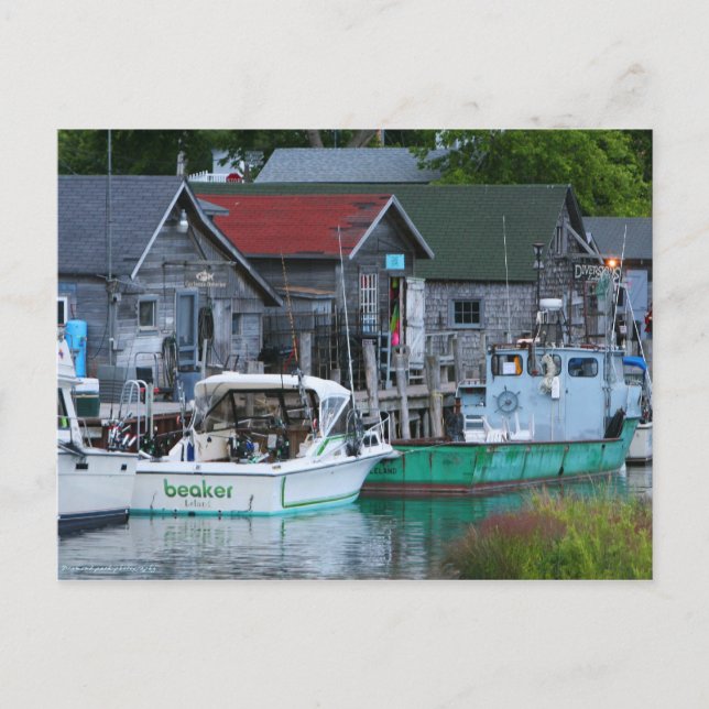 Postal pueblo pesquero de Leland (Anverso)