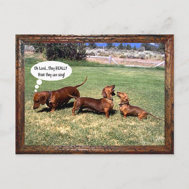Postal ¿Pueden cantar los Doxies? Tal vez no... (Anverso)