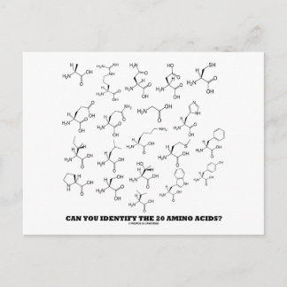 Postal ¿Puedes Identificar Los 20 Ácidos Amino? (Química)