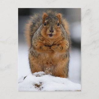 Postal ¿Puedo Presentarme?