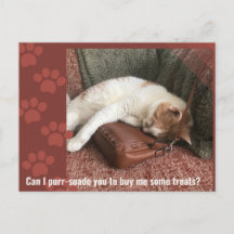 ¿Puedo purr-suadirte Rompecabezas del Gato Adorabl