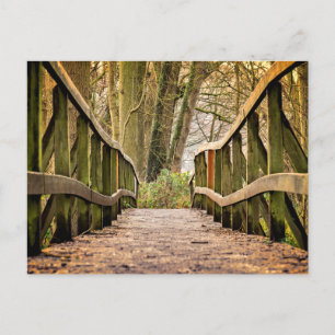 Postal Puente antiguo de madera, naturaleza, bosque