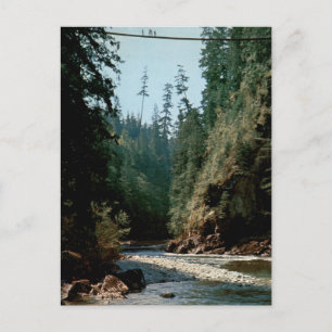 Postal Puente colgante Capilano vista vintage del río