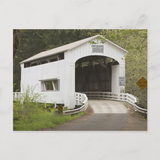 Postal Puente cubierto de gato silvestre, condado de Lane (Anverso)