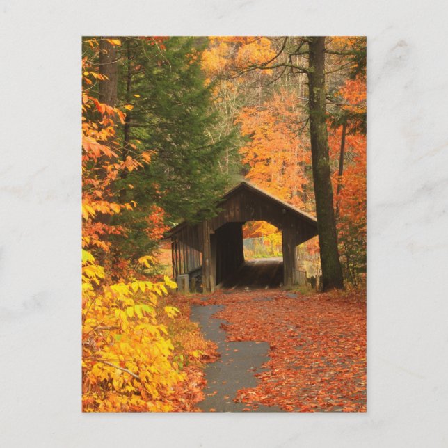 Postal Puente cubierto de la estación de bombeo de Greenf (Anverso)