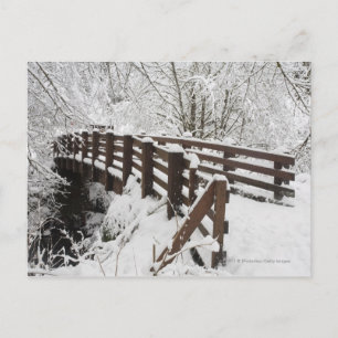 Postal Puente de madera cubierta de nieve