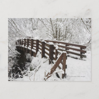 Postal Puente de madera cubierta de nieve
