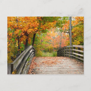 Postal Puente de otoño