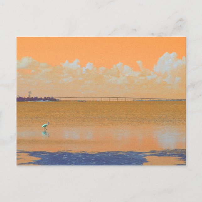 Postal Puente de pájaro Naranja Río Azul Florida (Anverso)