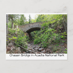 Postal Puente de piedra - Parque nacional Acadia