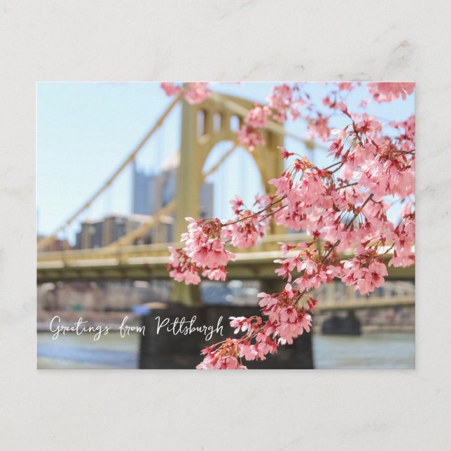 Postal Puente de Pittsburgh y flores de cerezo (Anverso)