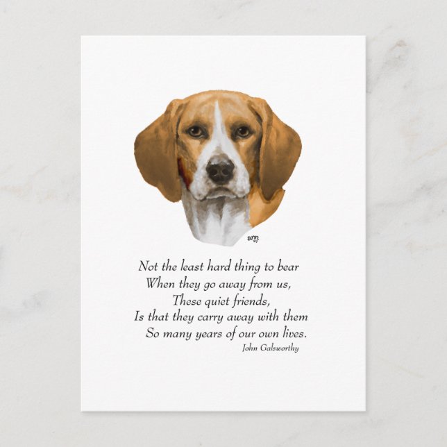 Postal Puente del Arcoiris Beagle (Anverso)