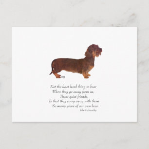 Postal Puente del Arcoíris del Dachshund