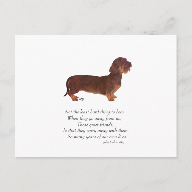 Postal Puente del Arcoíris del Dachshund (Anverso)