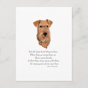 Postal Puente del Arcoíris del Terrier Irlandés