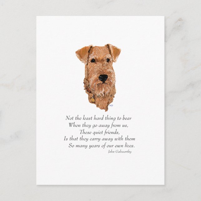 Postal Puente del Arcoíris del Terrier Irlandés (Anverso)