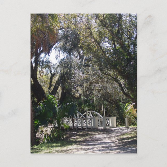 Postal Puente del Parque (Anverso)